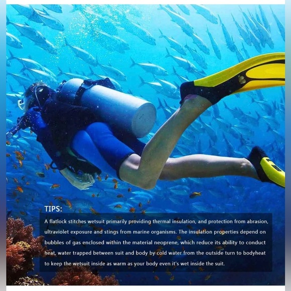 Seaskin 3mm Shorty Wetsuit Womens, Diving Suit Front Zip Wetsuit Size: Small - Picture 2 of 4